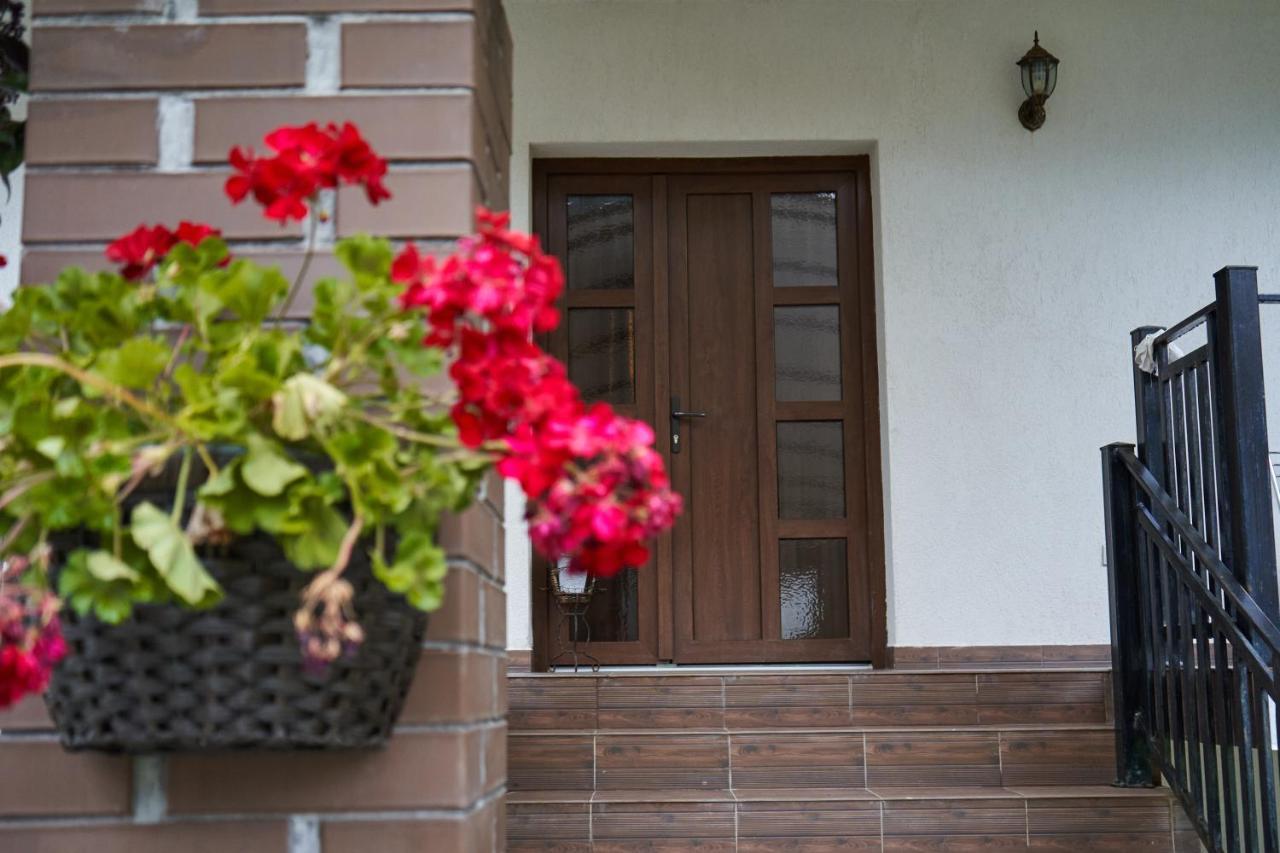 Casa Sofia Hotel Borsa  Exterior photo